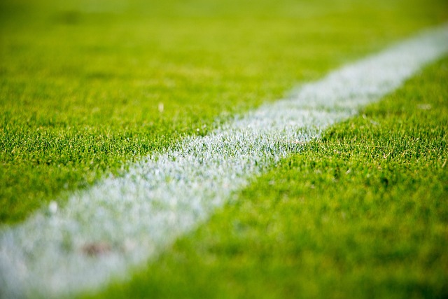 lawn-care-640x480-16735939.jpeg