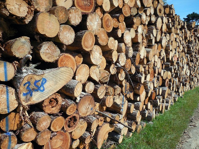 logging, timber, sawmills, forests, Oregon, industry