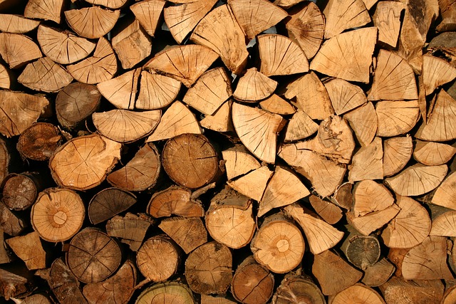 logging, timber, sawmills, forests, Oregon, industry