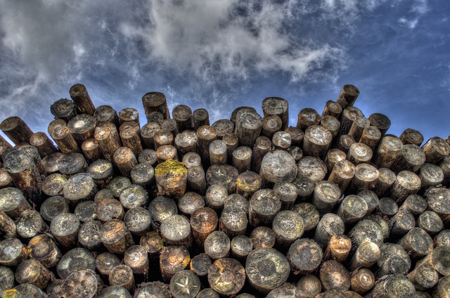 logging, timber, sawmills, forests, Oregon, industry