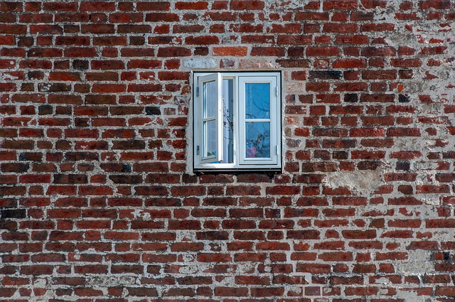 mold, moisture, house, damage, fungus, walls