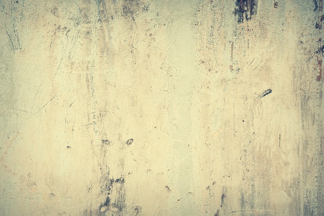mold, moisture, house, damage, fungus, walls