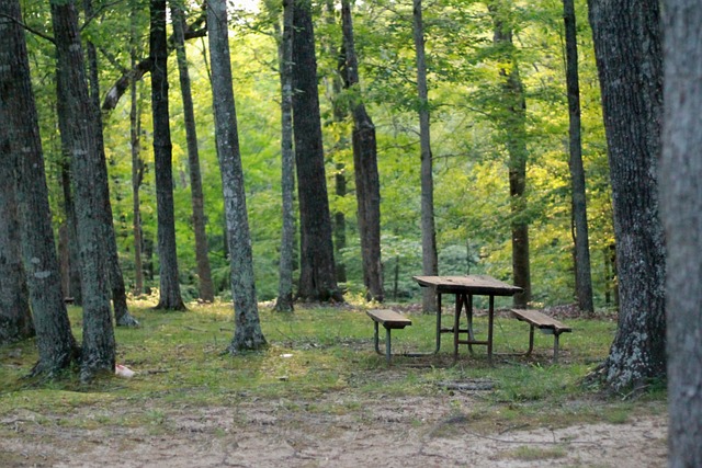 parks, nature, family, trails, picnic, playground
