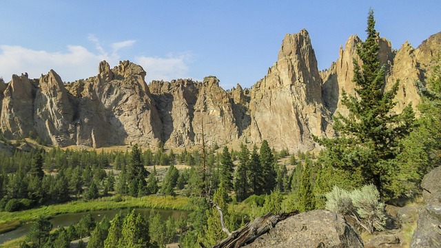 pioneers, homesteads, settlers, cabins, Oregon, history