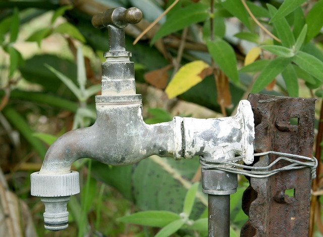 plumber,plumbing