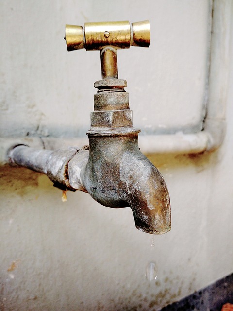 plumber,plumbing