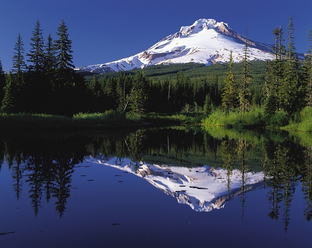 process-oregon-probate-understanding-cou-640x480-32095324.jpeg