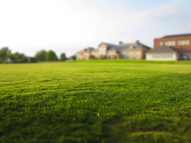 process, Oregon, probate, understanding, court, estate