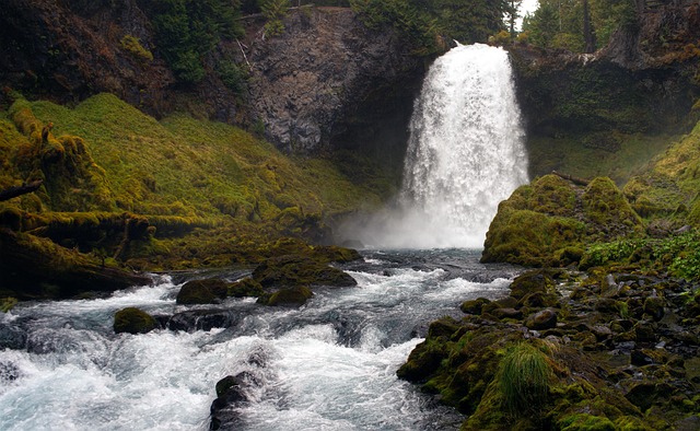 process, Oregon, probate, understanding, court, estate