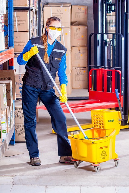 remediation, cleaning, professional, mold, safety, removal