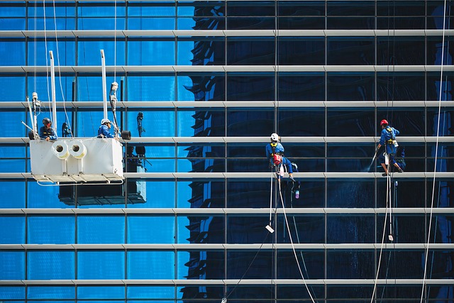 remediation, cleaning, professional, mold, safety, removal