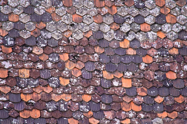 roofline,roof,shingle roof,tile roof,