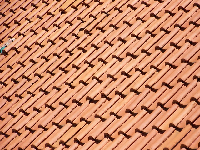 roofline,roof,shingle roof,tile roof,