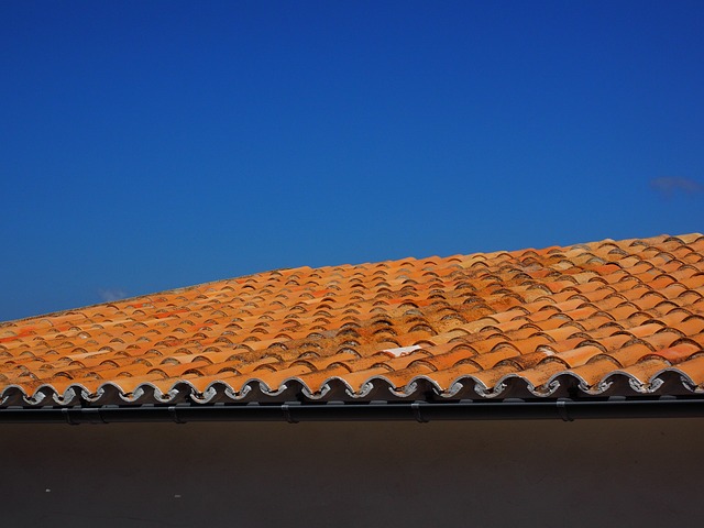 roofline,roof,shingle roof,tile roof,