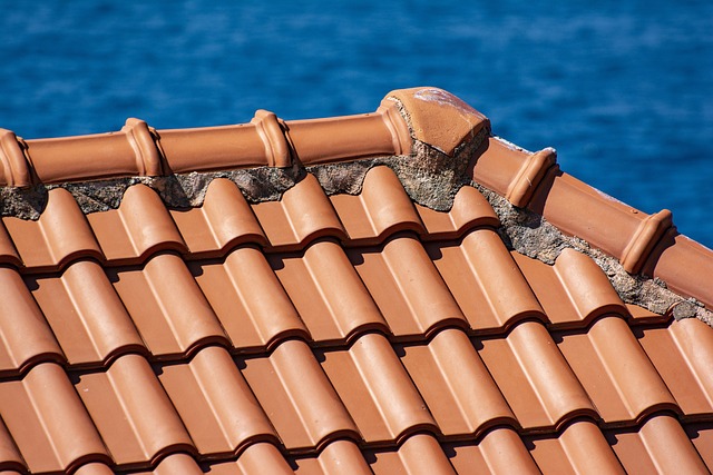 roofline,roof,shingle roof,tile roof,