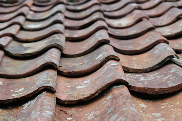 roofline,roof,shingle roof,tile roof,