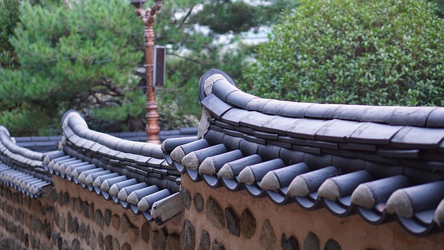 roofline,roof,shingle roof,tile roof,