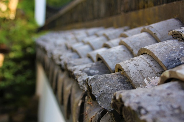 roofline,roof,shingle roof,tile roof,