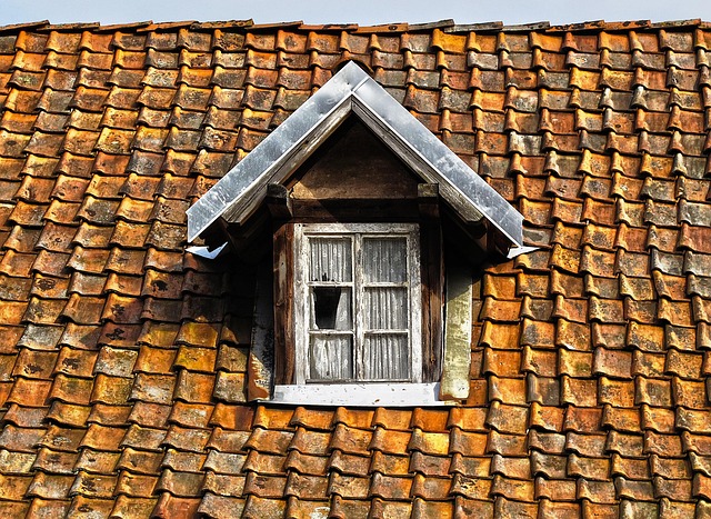 roofline,roof,shingle roof,tile roof,