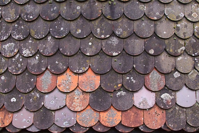 roofline,roof,shingle roof,tile roof,