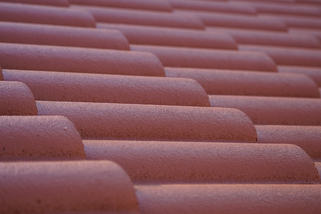 roofline,roof,shingle roof,tile roof,