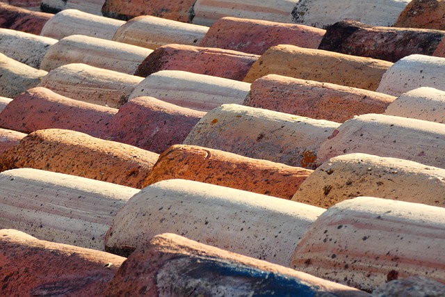 roofline,roof,shingle roof,tile roof,