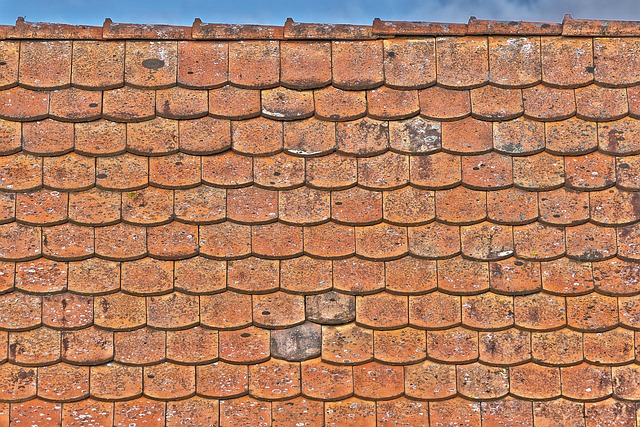 roofline,roof,shingle roof,tile roof,