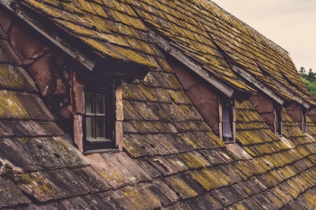 rooflineroofshingle-rooftile-roof-640x480-95771235.jpeg