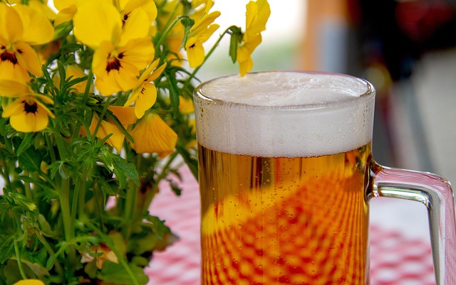 salad,sandwich,italian food,beer,wine,meal