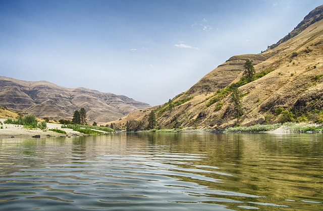 salmon-fishing-lane-river-nature-outdoor-640x480-61454186.jpeg