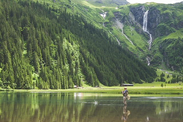 Salmon, fishing, Lane, river, nature, outdoors