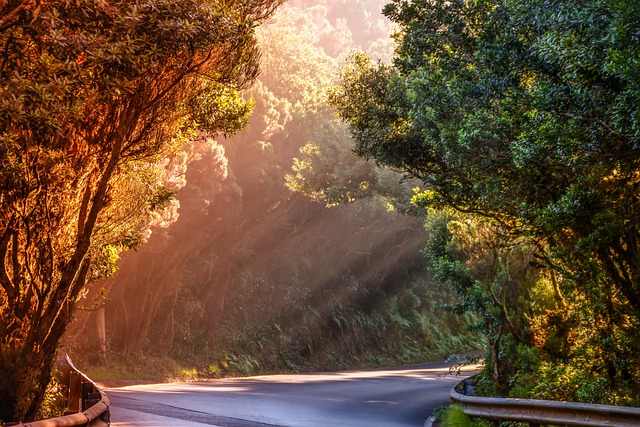 scenic, drive, coast, landscape, road, views
