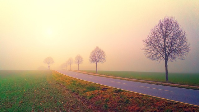scenic, drive, coast, landscape, road, views
