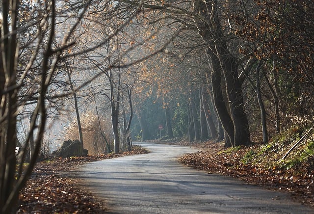 scenic, drive, coast, landscape, road, views