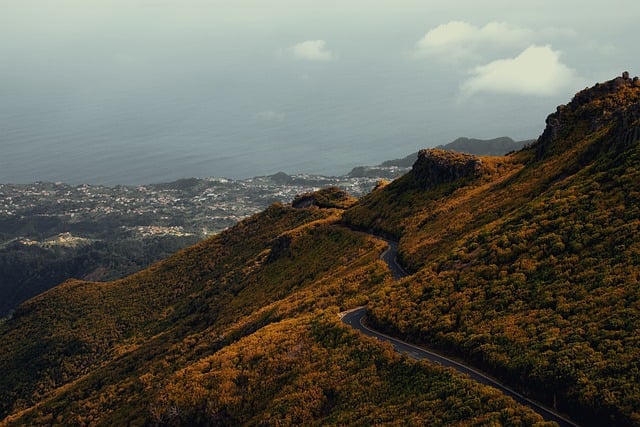 scenic, drive, coast, landscape, road, views
