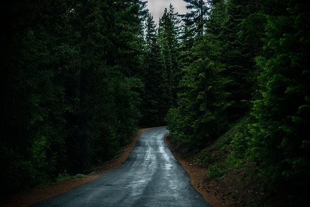 scenic, drive, coast, landscape, road, views