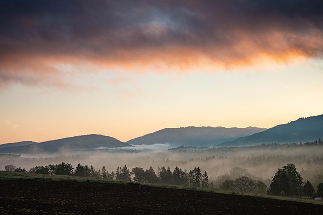scenic, drive, coast, landscape, road, views