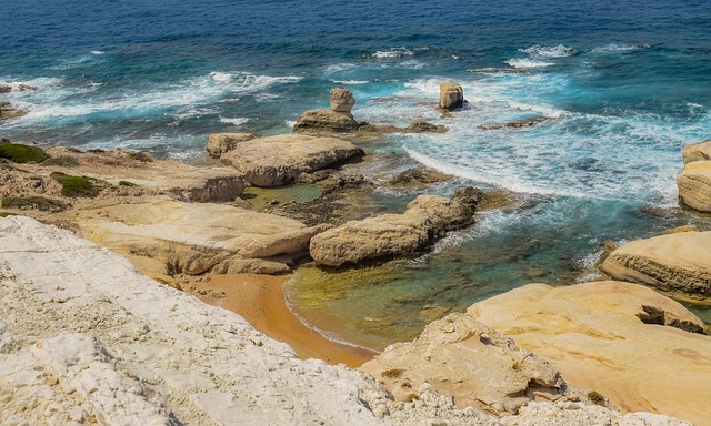 sea lions, caves, ocean, wildlife, marine, geology