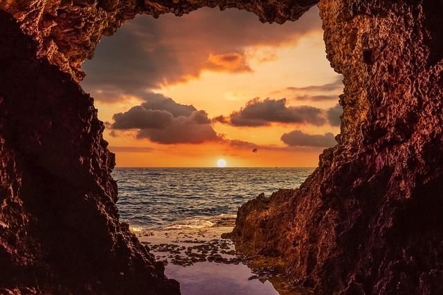 sea lions, caves, ocean, wildlife, marine, geology