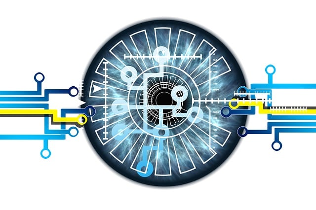 self-check, accuracy, verification, personal records, consistency, security