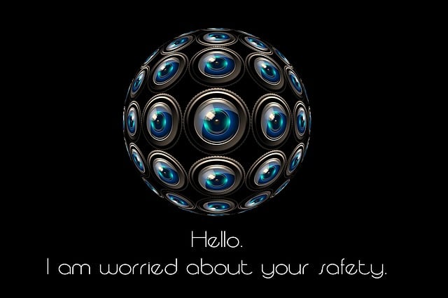 self-check, accuracy, verification, personal records, consistency, security