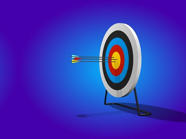self-check, accuracy, verification, personal records, consistency, security