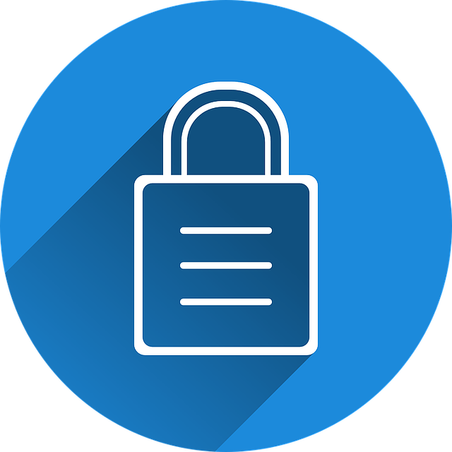 self-check, accuracy, verification, personal records, consistency, security