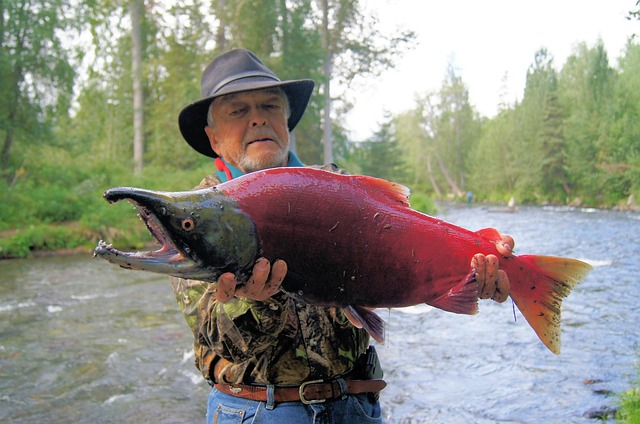 Siuslaw, fishing, river, salmon, nature, flyfishing