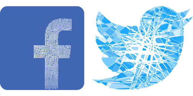 social media, online, profiles, privacy, ethics, analytics