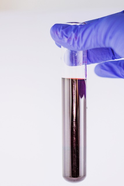 testing, inspection, professional, lab, home, spores
