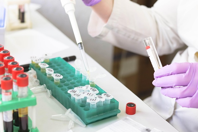 testing, inspection, professional, lab, home, spores