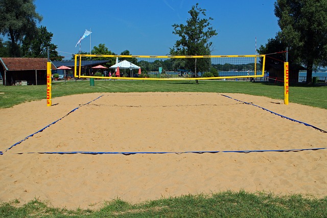 volleyball, Oregon Ducks, Oregon, team, net, sports