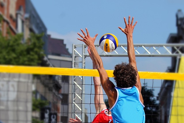 volleyball, Oregon Ducks, Oregon, team, net, sports
