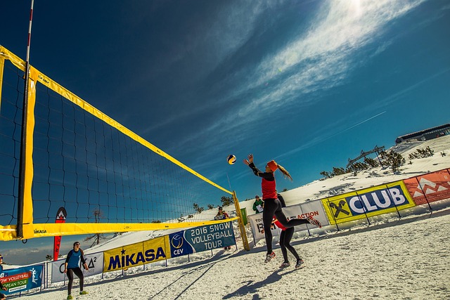 volleyball, Oregon Ducks, Oregon, team, net, sports